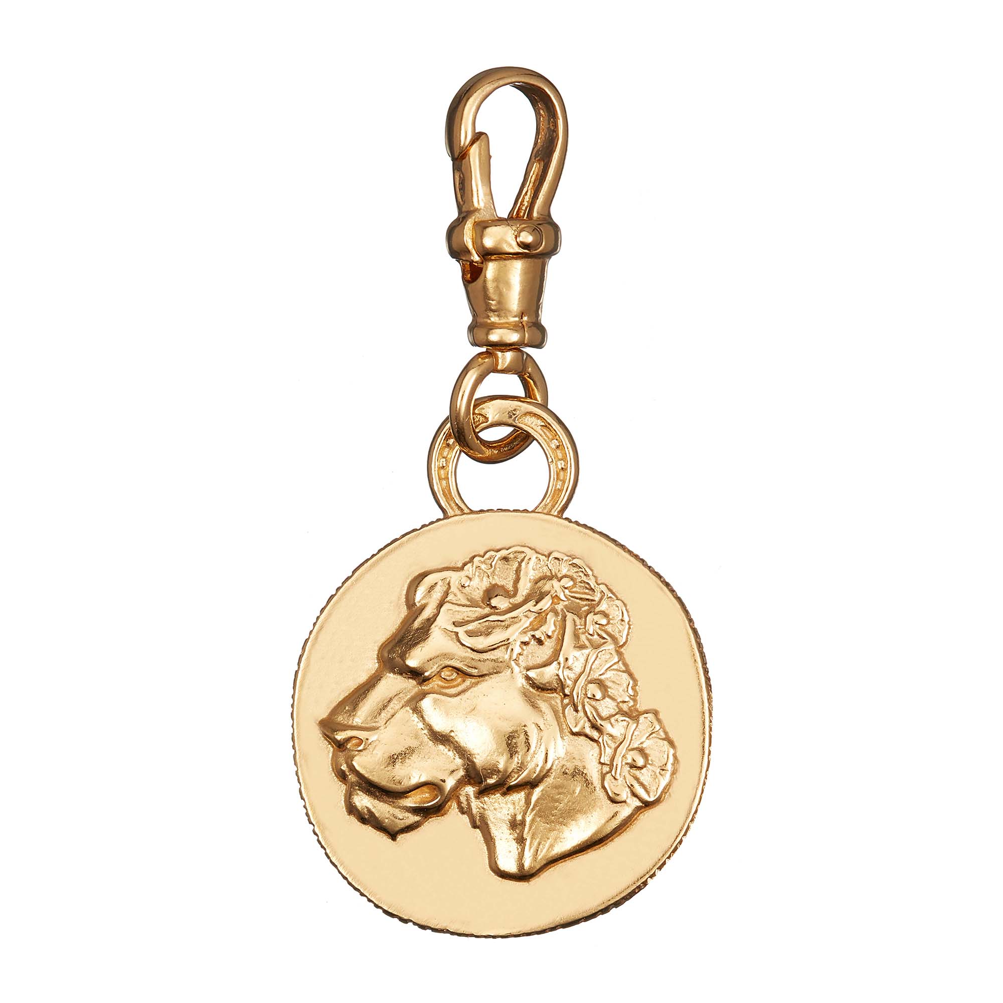 LARGE LIONESS COIN CHARM