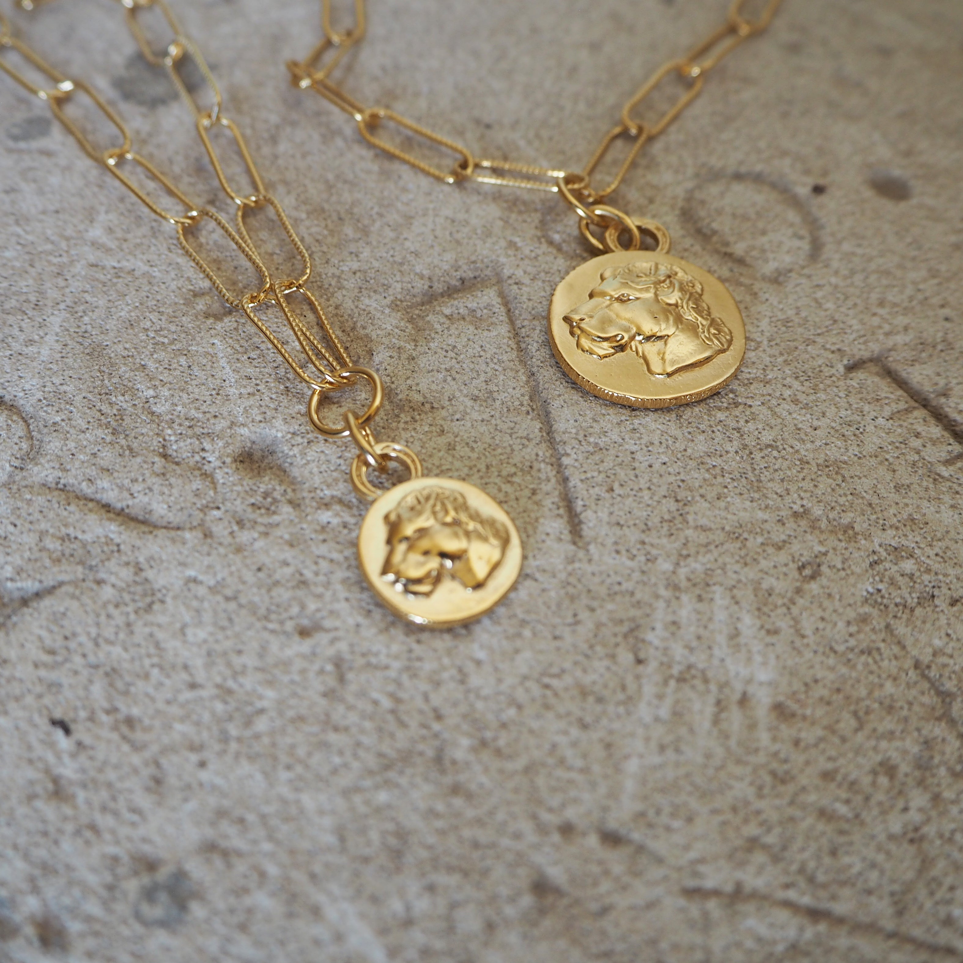 LARGE LIONESS COIN ON OVERSIZED CHAIN
